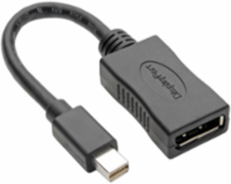 Mini DisplayPort to DisplayPort Adapter, 4K @ 60 Hz, 6 Inch