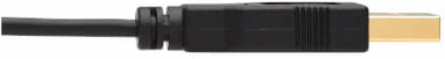 HDMI to DisplayPort Active Adapter Cable, 4K, USB Power, M/M, Black, 2 m
