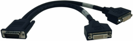 DMS-59 to Dual DVI Splitter Y Cable, 1 ft., Male to 2x Female DVI-I