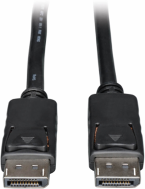DisplayPort Cable 30 Ft, 2560x1600 @ 60Hz, Black, Male to Male