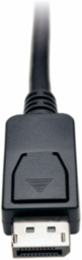 DisplayPort to DVI-D Cable Adapter, 6 ft., 1080p Resolution, Male to Male