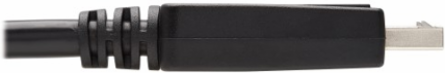 Safe-IT DisplayPort to DVI-D Single Link Antibacterial Adapter Cable, M/M, 1080p 60 Hz, Black, 6 ft