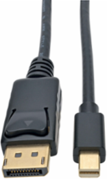 Mini DisplayPort to DisplayPort Adapter Cable, 4K @ 60 Hz, 3 ft.