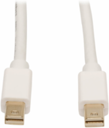 Mini DisplayPort Cable 6 ft, 4K @ 60 Hz, Supports Displayport v1.2