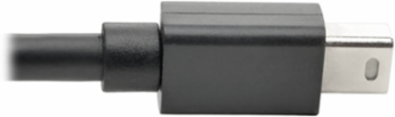 Mini DisplayPort Extension Cable 4K @ 60 Hz, 3 Ft, HDCP 2.2, Black
