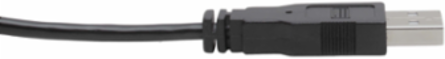 DVI to USB-A Dual KVM Cable Kit, 10 ft, 1920 x 1200 @ 60 Hz, USB 2.0