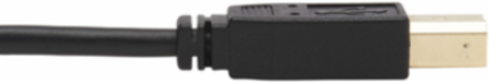 DisplayPort KVM Cable Kit, 10 Ft, 4K, USB 2.0, 3.5mm Audio