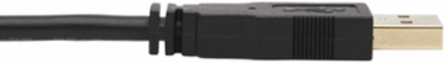 DisplayPort KVM Cable Kit, 10 Ft, 4K, USB 2.0, 3.5mm Audio
