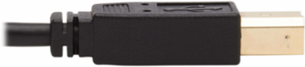 10 ft DisplayPort KVM Cable Kit, 4K, 4:4:4, USB, Audio, Black