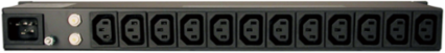 1.6kW/3.8kW Basic PDU, 14 Outlets (12 C13, 2 C19), 1U Rack-Mount