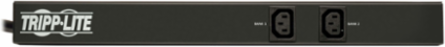 7.4kW Basic PDU, 1U Rack-Mount, 32A 230V Input, 10 C13 Outlets, 3.6 m Cord