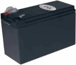 UPS Replacement Battery Cartridge, 5.5 lbs, 3.6875 x 2.5 x 5.875 Inch, 18-Mo Warranty