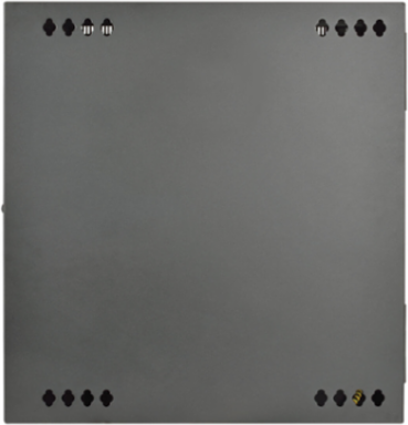 10U Low-Profile Wall-Mount Rack Enclosure, 200 lb Capacity, 20.5 Inch Deep