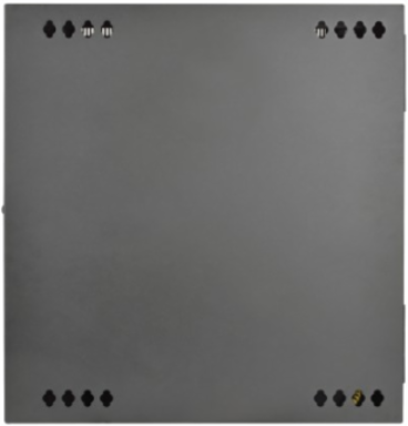 12U UPS-Depth Wall-Mount Rack Enclosure Cabinet, 24.5 Inch Deep, 200 lb Capacity