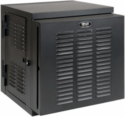 12U NEMA 12 Wall-Mount Rack Enclosure Cabinet, 20.5 Inch Depth, 200 lb Capacity