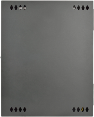 15U Low-Profile Wall-Mount Rack Enclosure, 20.5 Inch Deep, 200 lb Capacity