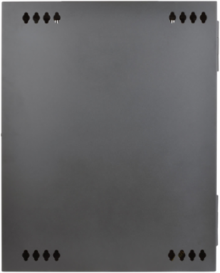 15U Low-Profile Wall-Mount Rack Enclosure Cabinet, 20.5 Inch Max Depth