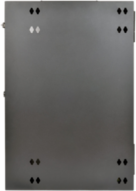 18U UPS-Depth Wall-Mount Rack Enclosure Cabinet, 24.5 Inch Depth, Black