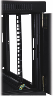 9U Low-Profile Wall-Mount Rack Enclosure Cabinet, 16.5 Inch Deep, Black