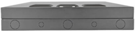 Low-Profile Wall-Mount Server Rack Enclosure, 2U, 36 Inch Depth, 150 lb Capacity
