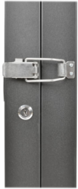 Low-Profile Wall-Mount Server Rack Enclosure, 2U, 36 Inch Depth, 150 lb Capacity