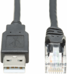 USB-A to RJ45 Rollover Console Cable, 10 ft., 250 Kbps, Black