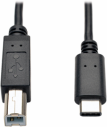 USB 2.0 B Male to USB Type-C Male Cable, 6 ft, Nickel Plated, Black