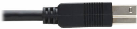 Fiber Active Optical Cable, USB 3.2 Gen 1, 5 Gbps, A to B M/M, Plenum-Rated, Black, 30 m