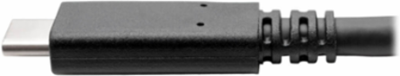 USB-C Cable 3 ft, 100W Power, 5A Rating, USB 3.1 Gen 2 (10 Gbps)