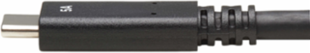 USB-C Cable 20 Inch, 10 Gbps, 5A Rating, Thunderbolt 3 Compatible