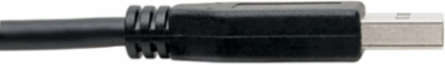 USB-C to USB-A Cable 6 ft, USB 3.1 Gen 1 (5 Gbps), Thunderbolt 3 Compatible