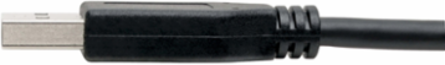 USB-C to USB-A Cable 6 ft, USB 3.1 Gen 1 (5 Gbps), Thunderbolt 3 Compatible