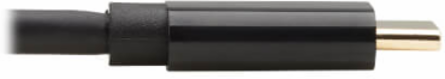 USB-C to DisplayPort Bi-Directional Active Adapter Cable, M/M, 4K 60 Hz, HDR, Locking DP, 3 ft, TAA