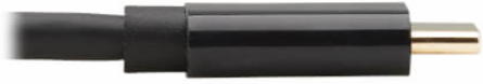 USB-C to DisplayPort Bi-Directional Active Adapter Cable (M/M), 4K 60 Hz, HDR, 6 ft, TAA