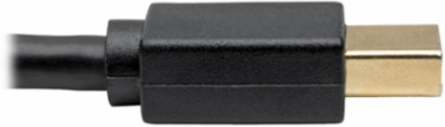 USB-C to Mini DisplayPort Adapter Cable, 6 ft, 4K 60Hz, Black