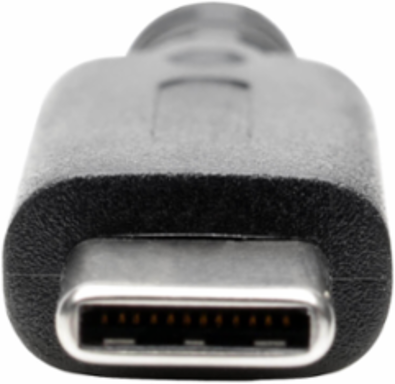 USB-C to DisplayPort Adapter 4K 60Hz, Black, 6 Inch Length