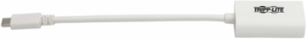 USB-C to DisplayPort Adapter - 4K @ 60Hz, 6 Inch, White