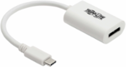 USB-C to DisplayPort Adapter - 4K @ 60Hz, 6 Inch, White
