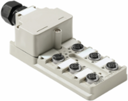 SAI-6-M 5P M12