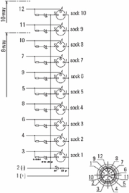 SAI-8-S12 3P M8 L