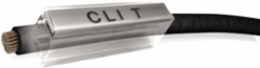 CLI T 02-30