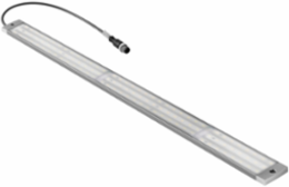 WIL-555-W-M12G-0.3U-S