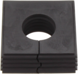 CABTITE SE 19-20 LRG BK