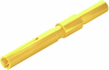 SAI-M12-KBC-22/24