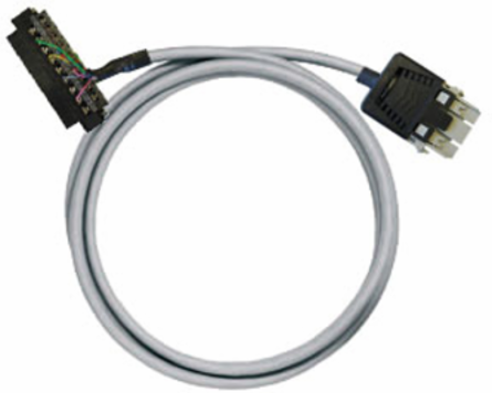 PAC-CMLX-RV24-V1-1M