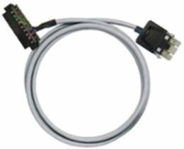 PAC-CMLX-RV24-V1-1M