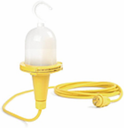 Watertite Wet Location Hand Lamp, 100W, NEMA 4X, PTFE Globe, 1000 Lumens