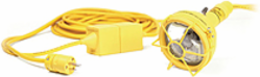 Watertite 35W 12V Flood Light, 50' Cord, PAR36 Bulb, Wet Location