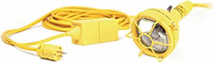 Watertite 60W Flood Light, 50.0' Length, 12V AC, 600 Lumens, PAR36 Bulb