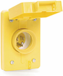 Watertite Plug with Single Flip Coverplate, 2-Pole/3-Wire, NEMA L5-15, 125V, IP67